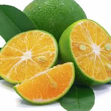 Lemon Cui